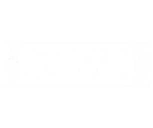 Struis logo