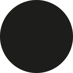 Stereoscope - Long Beach logo