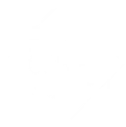 Flying Bean Coffee logo