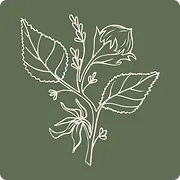 Hazel Café logo