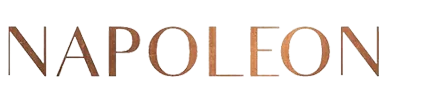 Brasserie Napoleon logo