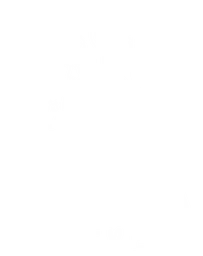 KAVA virė logo