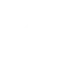 RØST logo