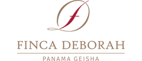 Finca Deborah's Terroir logo