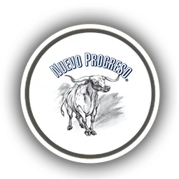 NUEVO PROGRESO logo
