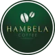 Hambela washing station, Dimtu logo