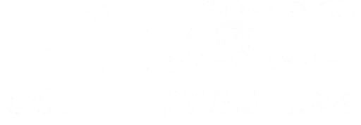 Fidel logo