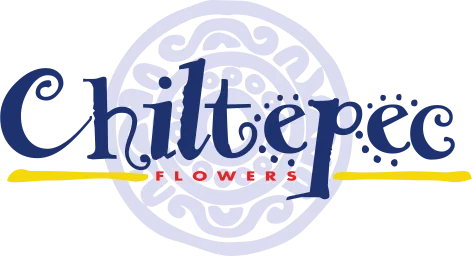 Cerro De Chiltepec logo