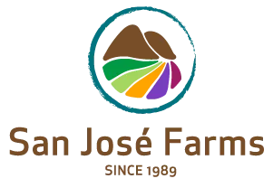 San José logo