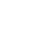 Walter Vladimir Pineda Rodriguez logo