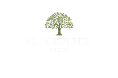 EL PORVENIR logo