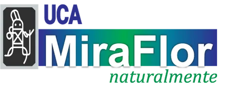 Silvia Dinora González De Uca Miraflor logo