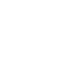 LA AURORA logo