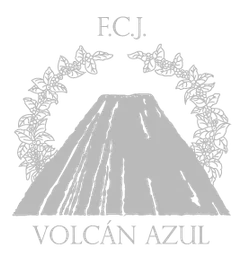 Alejo Castro Kahle / Volcan Azul logo