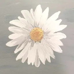 Daisy María Zamora Mansell logo