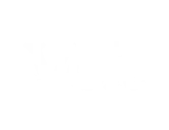 VOLT logo