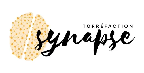 Synapse logo