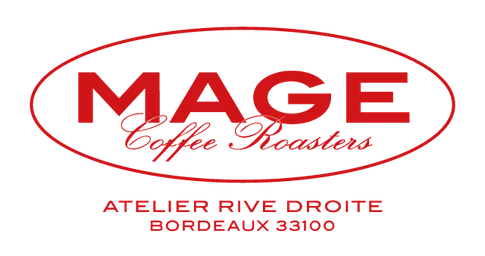 Mage logo
