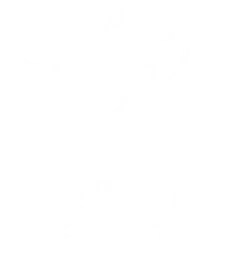 Primos de Origen logo