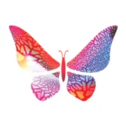 Cocoon Coffee logo