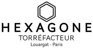 Hexagone logo