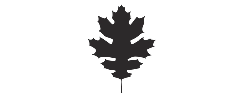 Black Oak Coffee Roasters logo