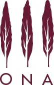 ONA logo